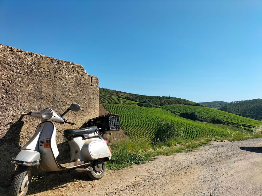 Winery, Tastings & 4x4 Vineyards: Half-Day Trip from Lisbon - How the $176 price works for your day