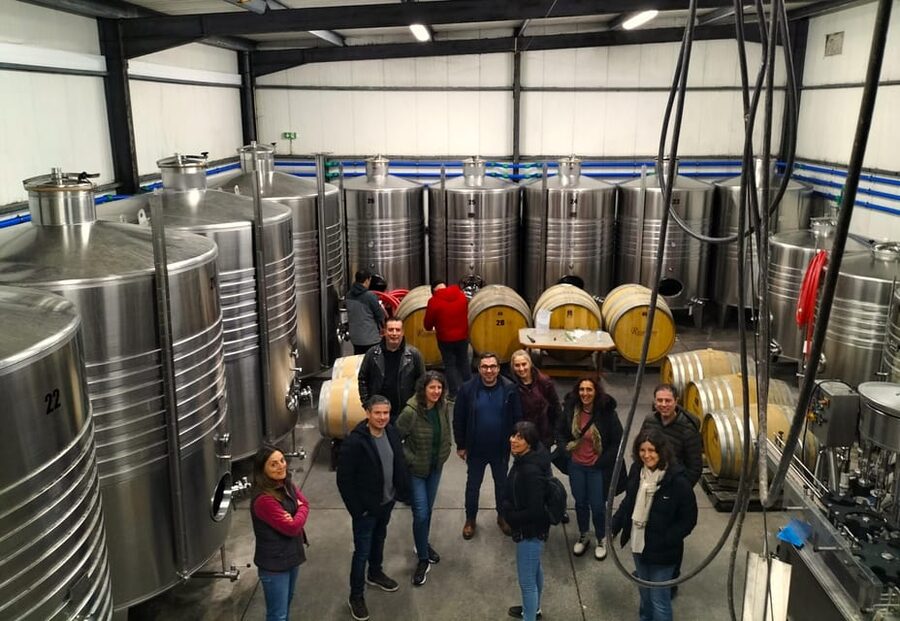 Winery, Tastings & 4x4 Vineyards: Half-Day Trip from Lisbon - The guides and the human side of the outing