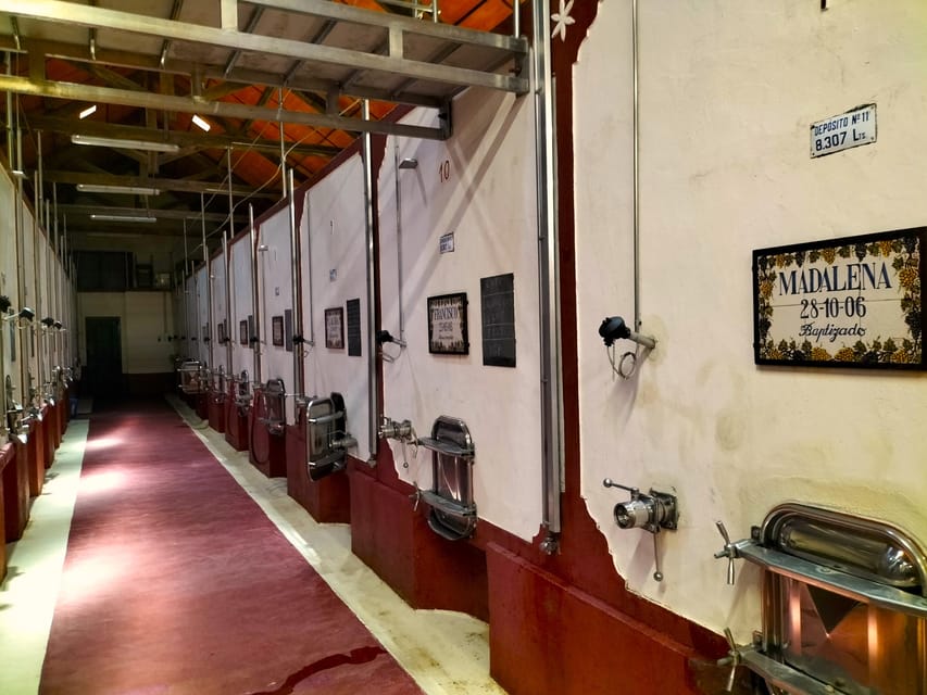 Winery, Tastings & 4x4 Vineyards: Half-Day Trip from Lisbon - Who should book this half-day trip?