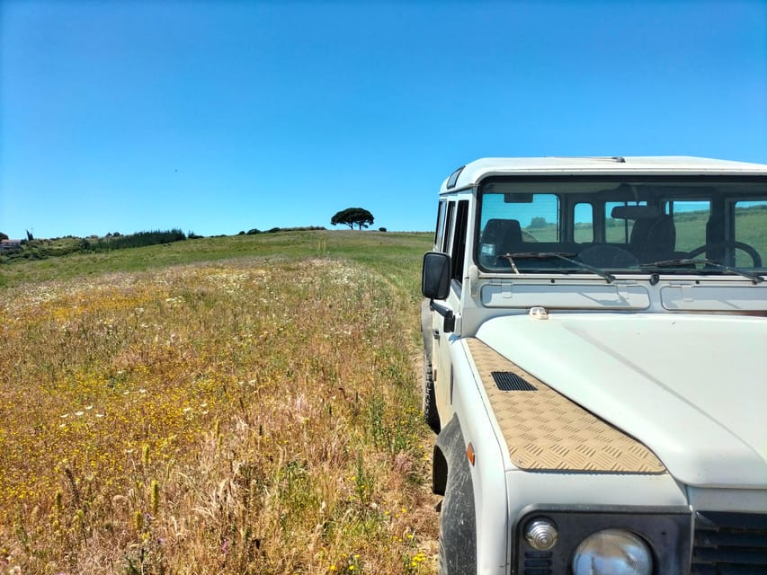 Winery, Tastings & 4x4 Vineyards: Half-Day Trip from Lisbon - Choosing between Torres Vedras and Alenquer
