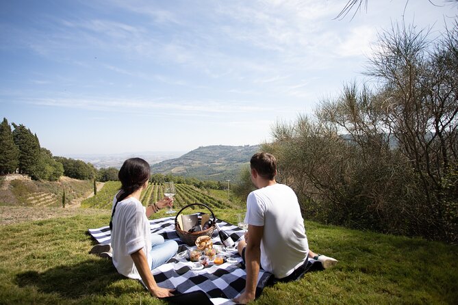 Winery Tour & picnic in the vineyard with a bottle of wine - What the cellar adds to the visit