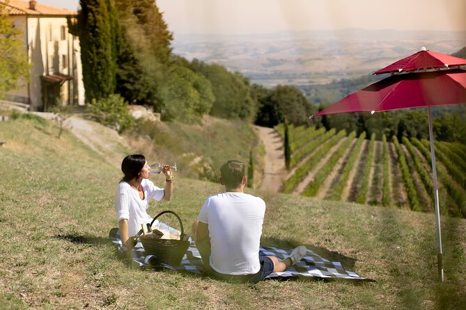 Winery Tour & picnic in the vineyard with a bottle of wine - The wine portion and bottle details