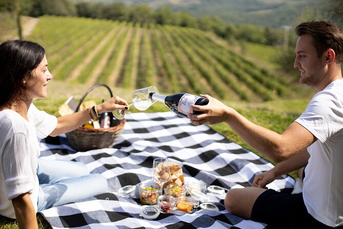 Winery Tour & picnic in the vineyard with a bottle of wine - Who will get the most from this visit
