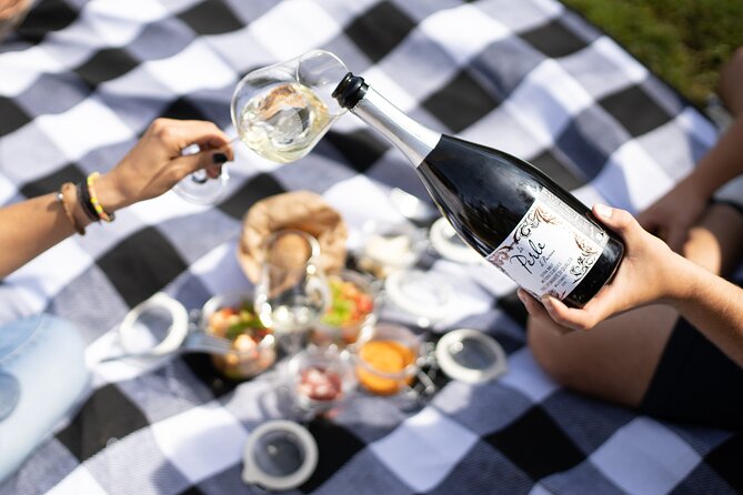 Winery Tour & picnic in the vineyard with a bottle of wine - A picnic made from Tuscan staples