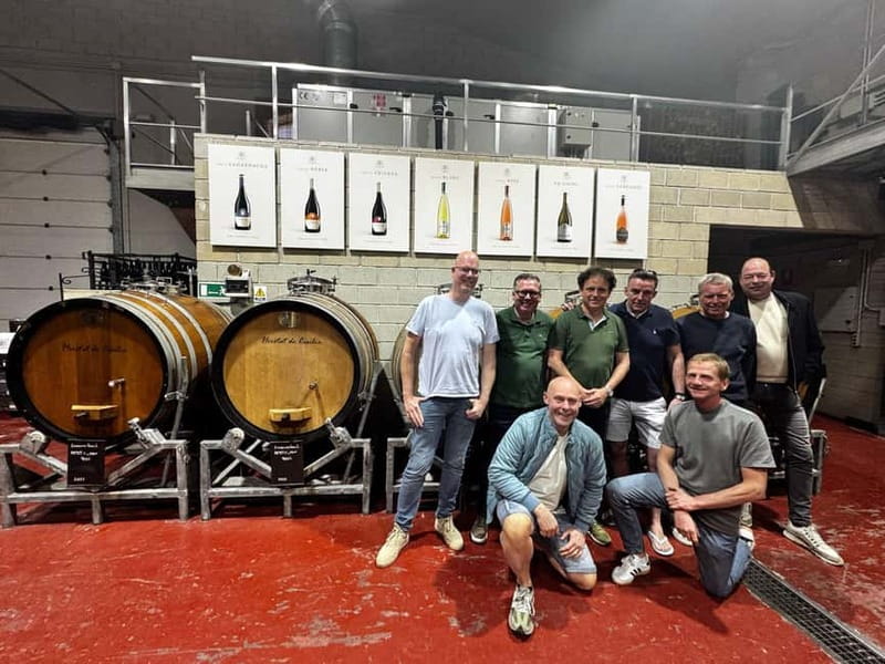 Winery Visit and Tasting in Elche with wines and tapas from Alicante in Van - The ride through Alicante’s wine country
