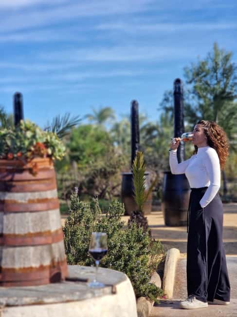Winery Visit and Tasting in Elche with wines and tapas from Alicante in Van - Language, group size, and the feel of the visit