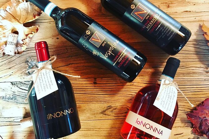 Winery Visit and Tasting of 2 D.O.C.Wines Fontechiara - A friendly host and a familiar setting