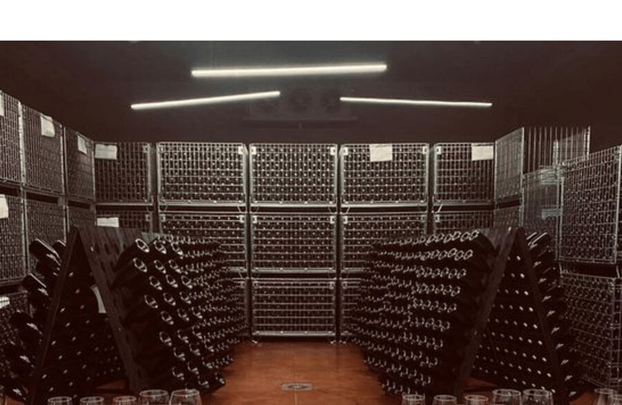 Winery Visit on Parma Hills & Wine Tasting with Food Platter - Who should book this experience?
