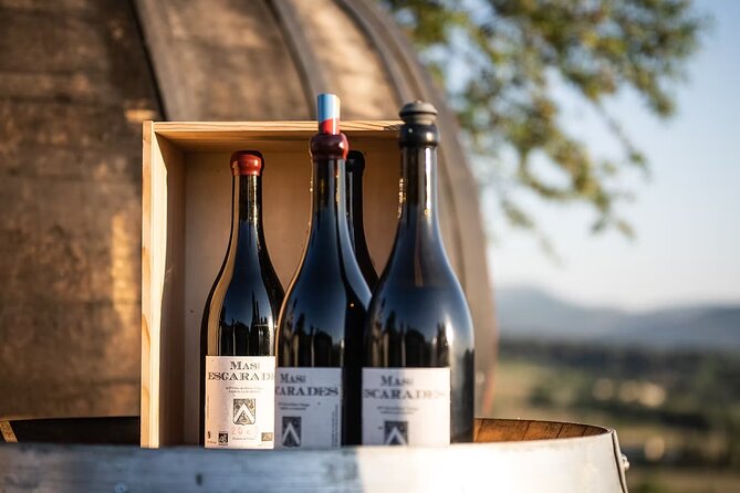 Winery visit / tasting in the vineyards, Mas des Escarades - Tasting among the vines with Mont Ventoux in view