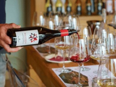 Winery Visit & Tasting near Grosseto with 6 wines