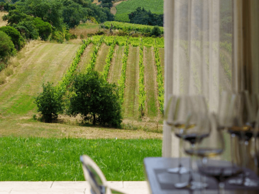 Winery Visit & Tasting near Grosseto with 6 wines - Six wines, two Cru bottles, and Tuscan snacks