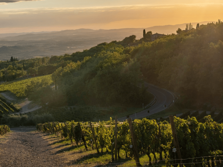 Winery Visit & Tasting near Grosseto with 6 wines - Is $58 a fair price?