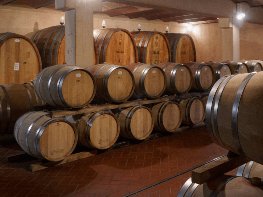 Winery Visit & Tasting near Grosseto with 6 wines - Who will enjoy this Mazzei estate visit