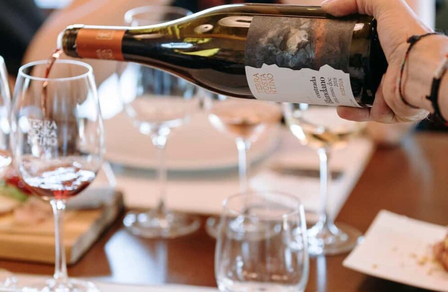 Winery Visit & Tasting on the Volcanic Slopes near Catania - A short walk among native vines