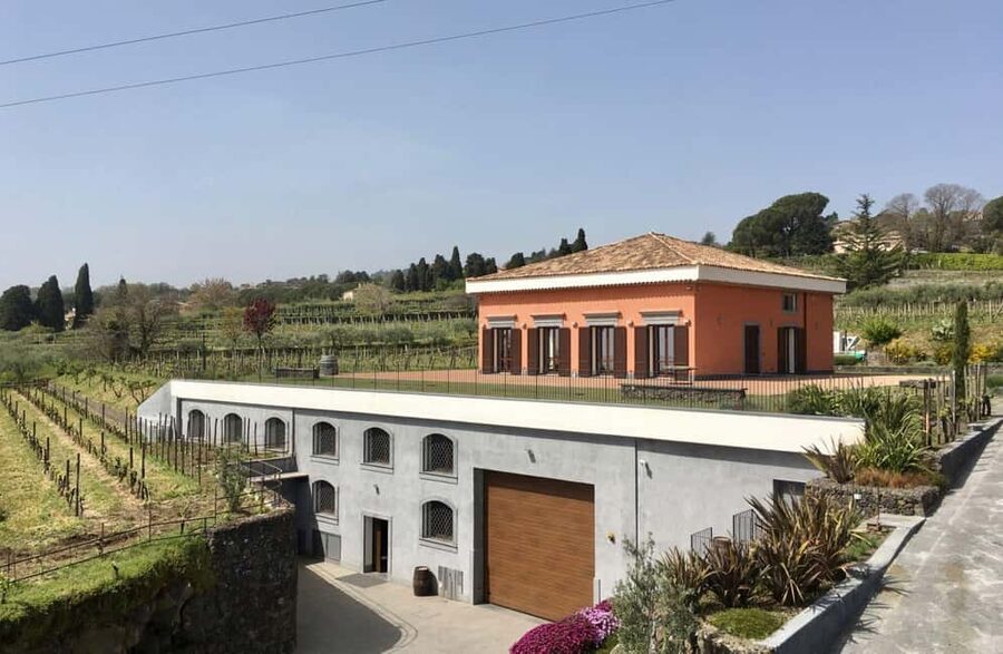 Winery Visit & Tasting on the Volcanic Slopes near Catania - Timing, booking, and practical details