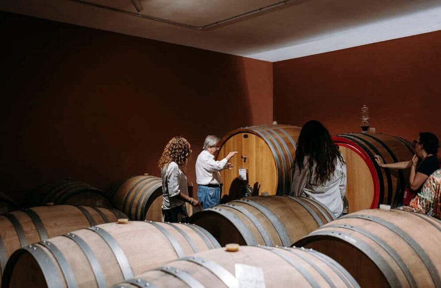 Winery Visit & Tasting on the Volcanic Slopes near Catania - The 10-minute cellar tour