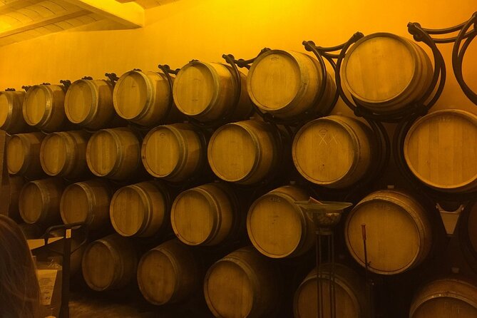 Winery Visit with Food and Wine in Carcassonne - Should you book the OVineyards evening?