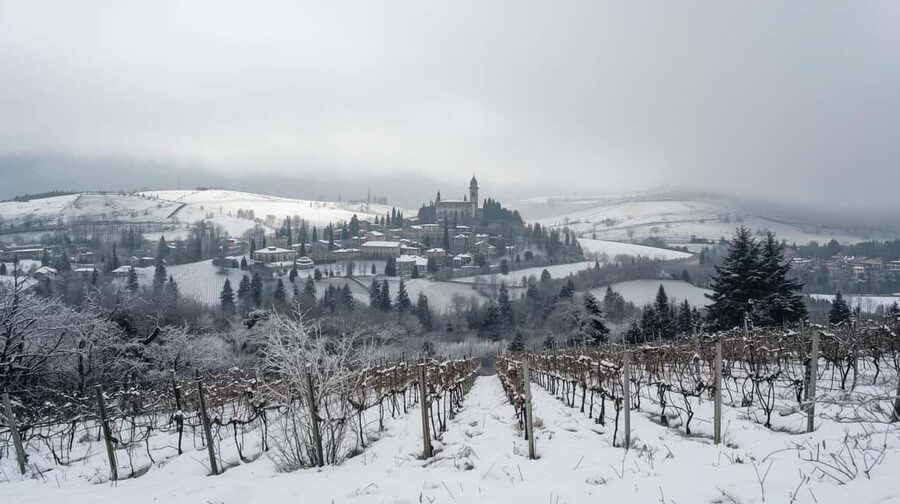 Winter Games Vineyards Milan’s Perfect Wine Tasting - Leaving Milan for Oltrepò Pavese
