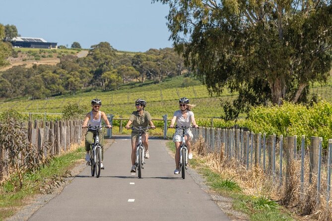Wirra Wirra Vineyard McLaren Vale: Winery Tour and Shiraz Masterclass - Four Winds chocolates add a welcome food match