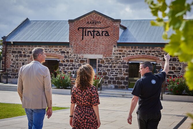 Wirra Wirra Vineyard McLaren Vale: Winery Tour and Shiraz Masterclass - Behind the scenes in the Ironstone Cellars
