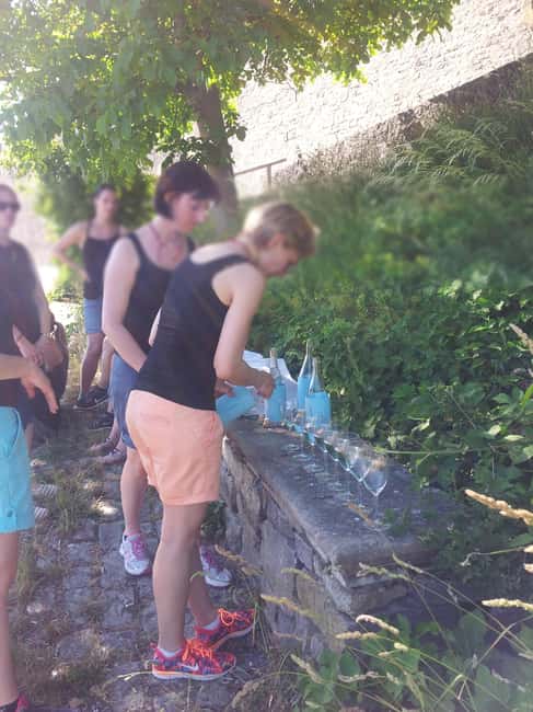 Wuerzburg: Vineyard rally with wine tasting and group dynamics - Key points