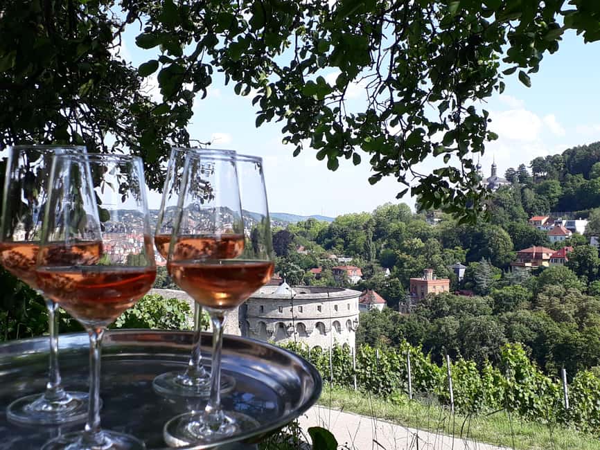 Wuerzburg: Vineyard rally with wine tasting and group dynamics - Solving wine questions in the vines