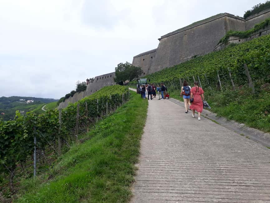 Wuerzburg: Vineyard rally with wine tasting and group dynamics - Team stations with a practical twist