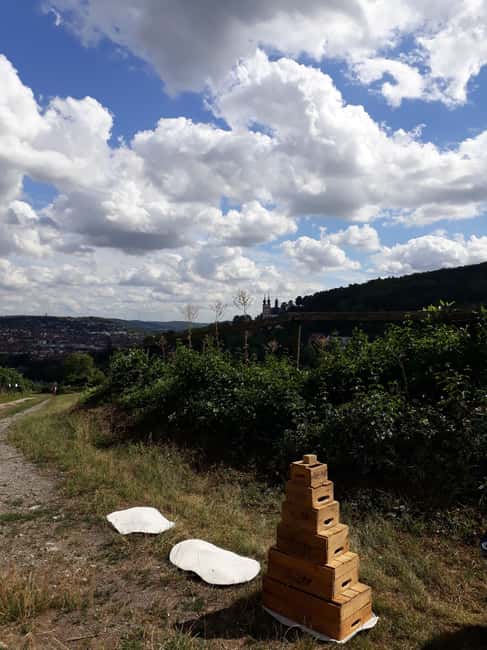 Wuerzburg: Vineyard rally with wine tasting and group dynamics - Marienberg Fortress and the Würzburg view