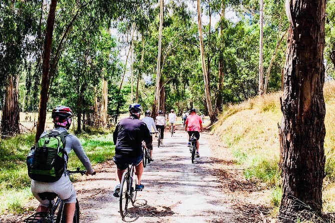 Yarra Valley Guided Bike Tour | Food & Wine Region - Soumah Winery adds a focused wine stop