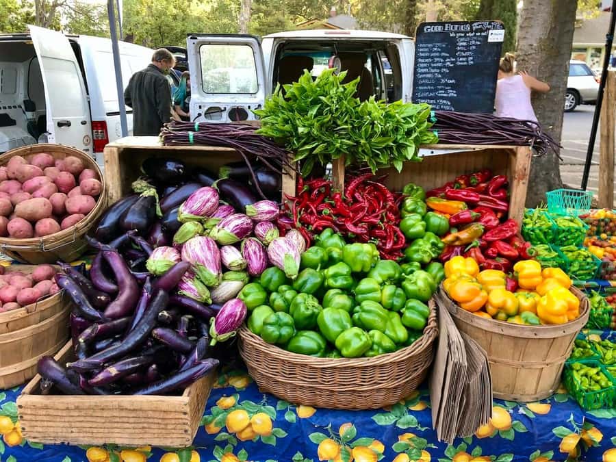 Yolo: Vineyards, Farms & Cultural Gems - Audio Driving Tour - FAQ