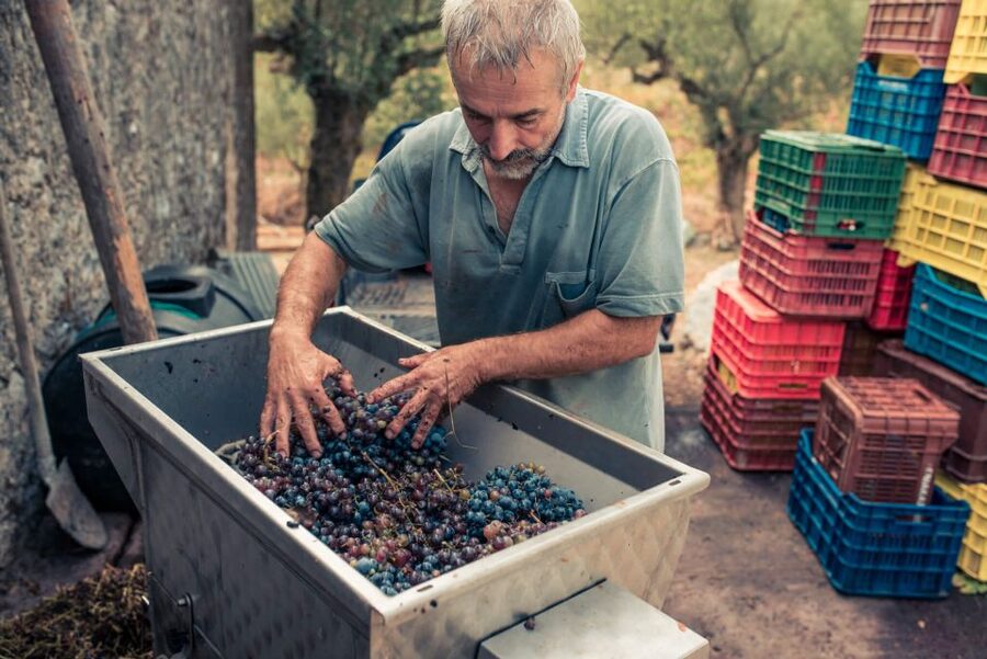 Zakynthos: Vineyard & Winery Tour with Local Winemaker - How long should you allow?